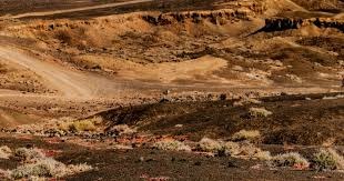 content-visual-balance